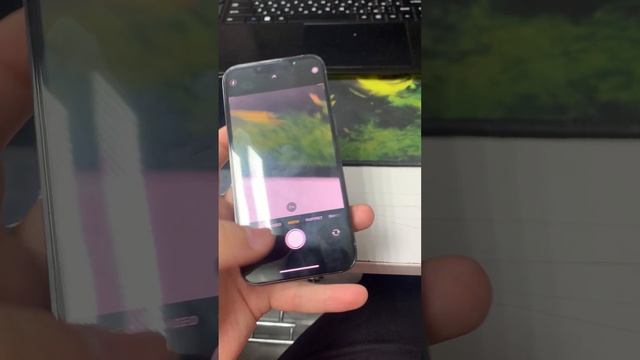 25-05-2025 смотреть онлайн