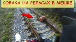 Без Лишних Слов... Добрые поступки людей!