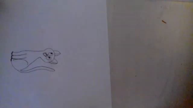 Как нарисовать котика (для начинающих ) смотреть онлайн