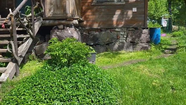 в Карелию на машине.большое путешествие 🌿 смотреть онлайн