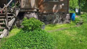 в Карелию на машине.большое путешествие 🌿