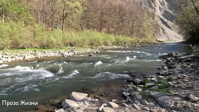 -Зря приходила, квартиру не отдам! Узнав о конкурентке на наследство, выставила её, но вскоре... смотреть онлайн