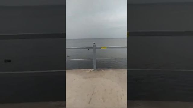 Посиделки Плещеево озеро 2024.09.28 смотреть онлайн