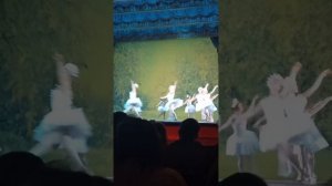 23 декабря 2023 г.