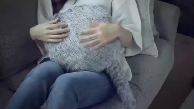 Умная подушка с кошачьим хвостом смотреть онлайн