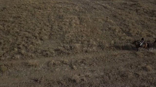 Лошадки и степь смотреть онлайн