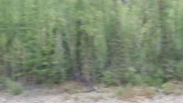 Едем на рыбалку смотреть онлайн