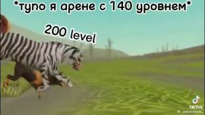 Вайлд крафт приколы из тт#1