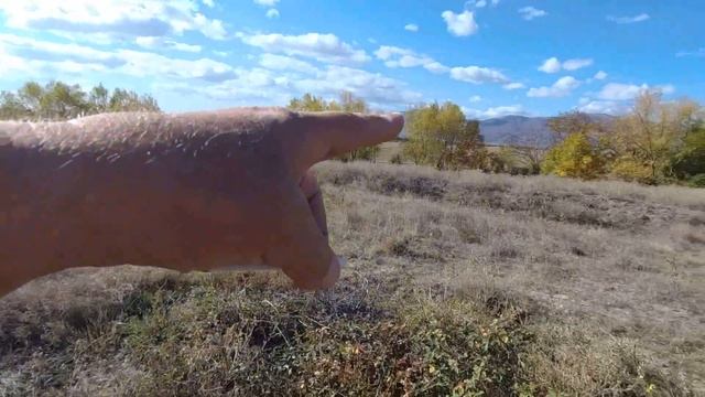 Крън - Плоската могила/Селищна енеолитна/ 2023