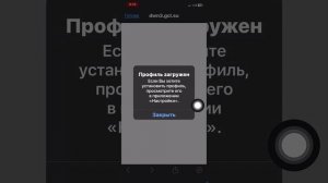 Показываю как установить DNS сервер на айфон 📲