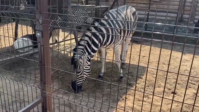 VLOG:ЭКСКУРСИЯ ПО ИЖЕВСКУ/ДОСТОПРИМЕЧАТЕЛЬНОСТИ ИЖЕВСК