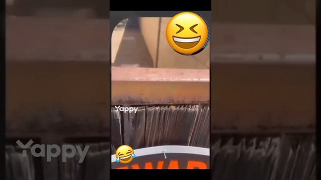 1000012407.mp4 смотреть онлайн