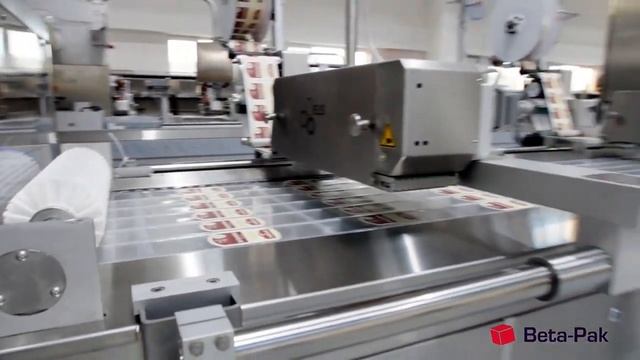 Термоформировочные машины Bpz 400 Max