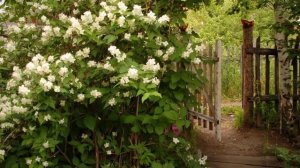 Валерий Леонтьев - Виновник