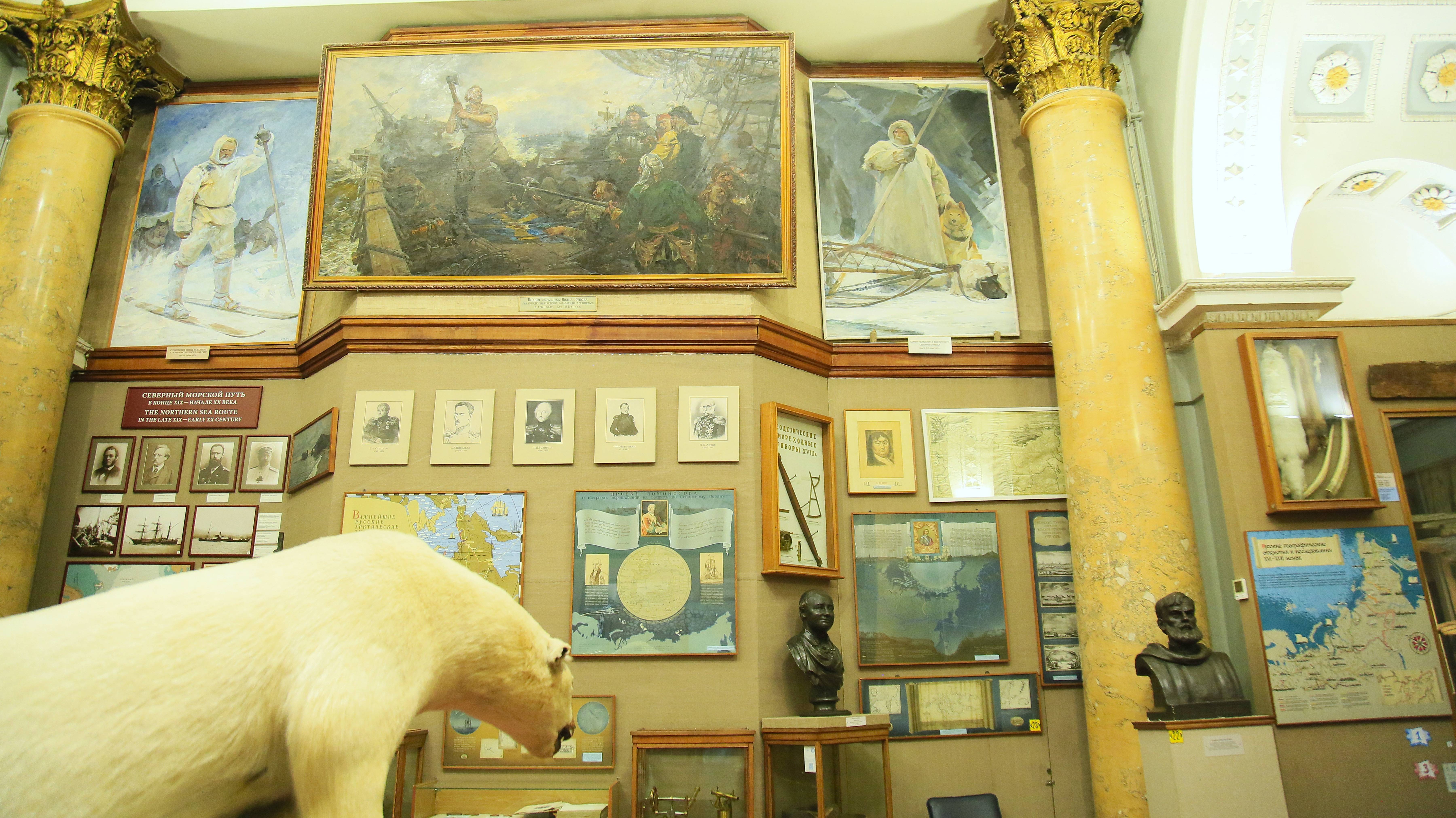 Музей Арктики и Антарктики смотреть онлайн