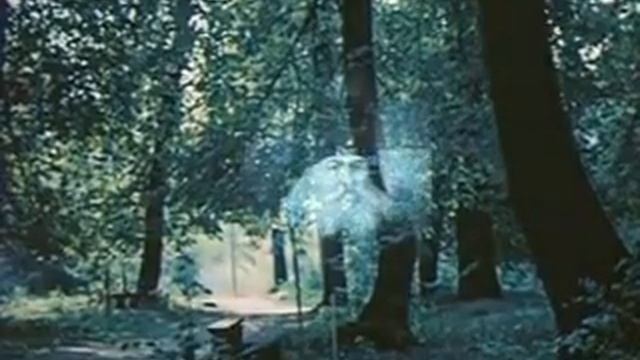 Свет Оптиной.1990 год