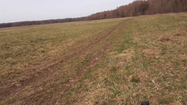 Испытание радиостанции Abbree AR-830 в полевых условиях. смотреть онлайн