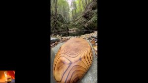 Готовим на природе. Часть 4