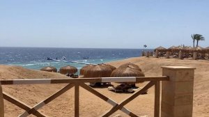 Safir Sharm Waterfalls Resort/ Прогулка по Шарм-эль-Шейх.