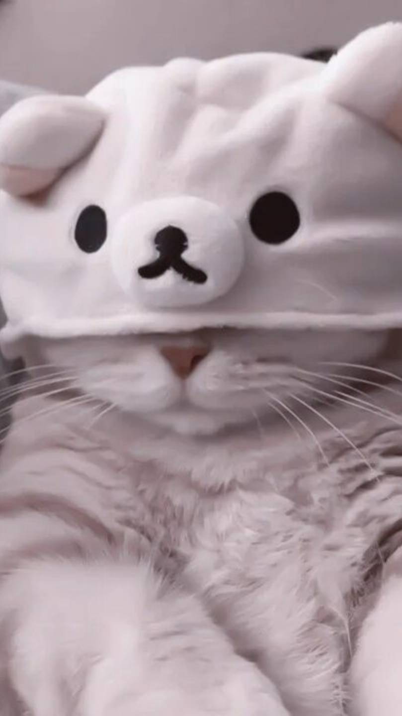 РАТАТАТАТА