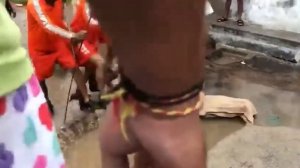 BRAIN TIME.  Wild Animals Invading Cities Caught on Camera