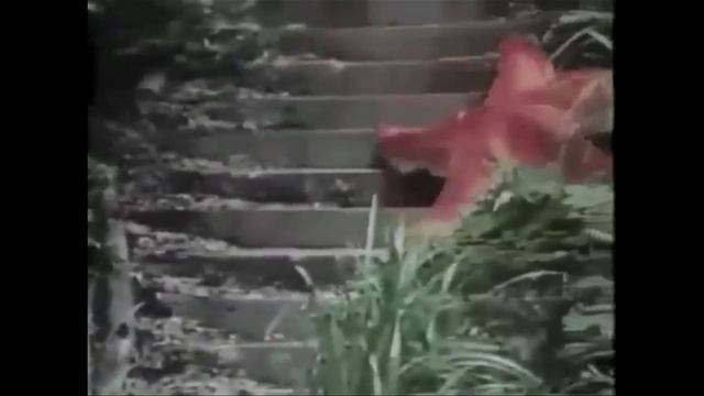 +100500 - Безудержное Веселье смотреть онлайн