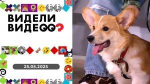 Видели видео? Выпуск от 25.05.2025
