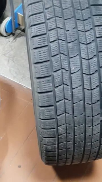 шины зимние Dunlop Graspic DS-3 R16