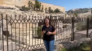 ОТ СТЕНЫ ПЛАЧА ДО ЗОЛОТЫХ ВОРОТ! Израиль с Алиной