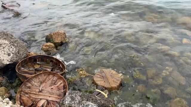 VLOG | 🇮🇩 посвящение в монахи, север Бали и лучшие кофе?