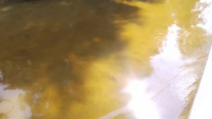 Осташков : прогулка по городу и озеру Селигер