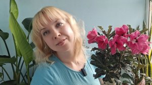 Не цветёт адениум? Разберём причины