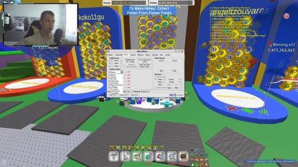 КАК НАСТРОИТЬ НАТРО МАКРО В Bee Swarm Simulator