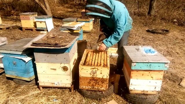 8 рамочник: Весенняя ревизия 10.04.18 смотреть онлайн