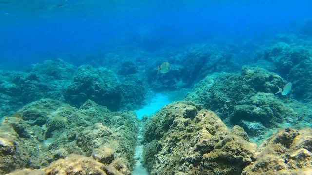 Подводный мир