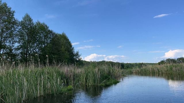 Река между Белгородской и Курской областью смотреть онлайн