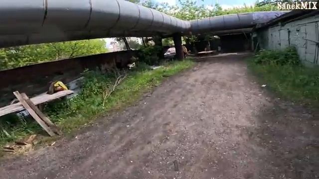 Бородач хочет нас убить