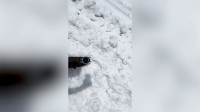 «Эльбрус: начало большой мечты. Первое восхождение» смотреть онлайн