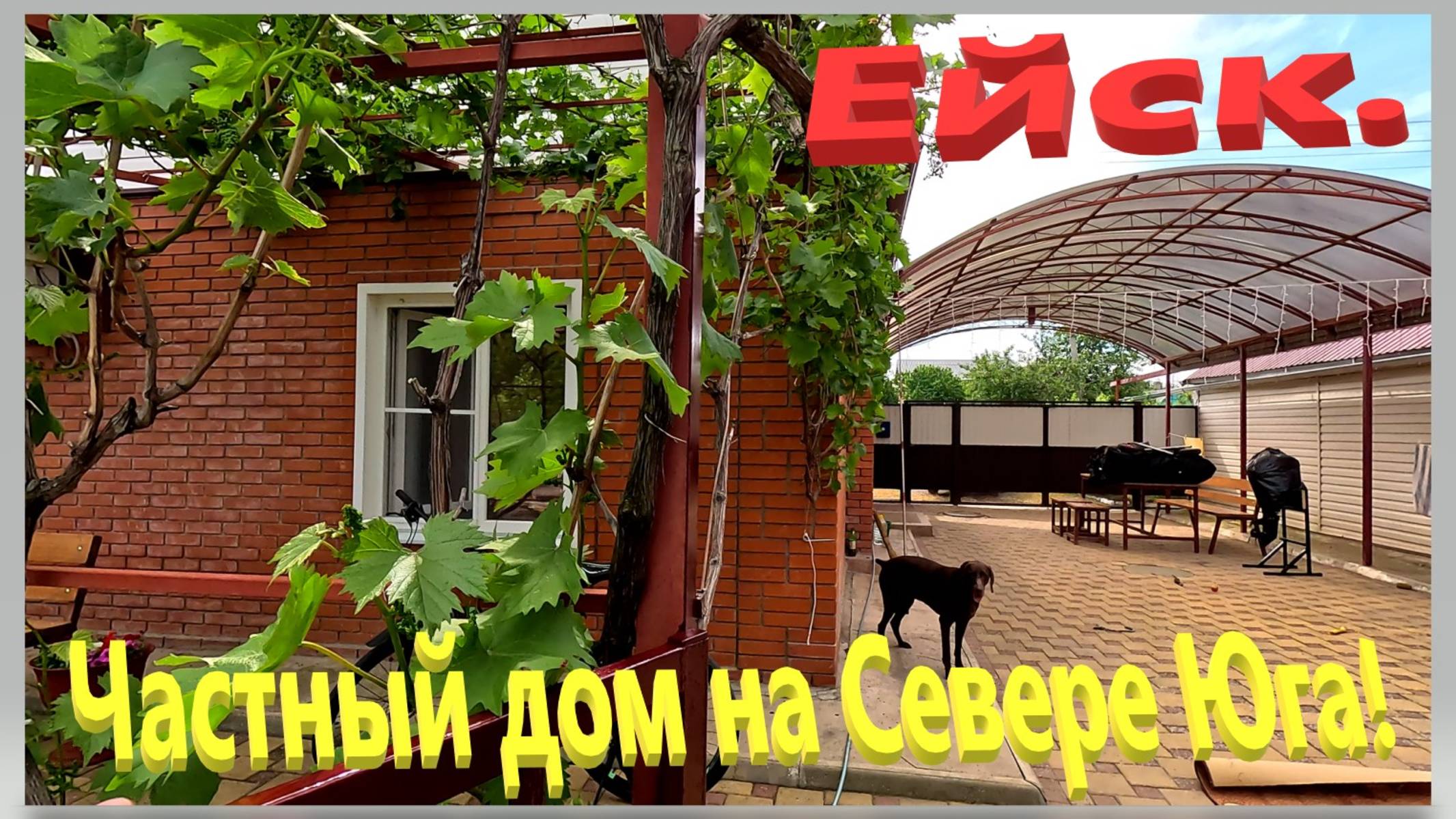 Частный дом на севере юга. Ейск. Экзотика в саду. смотреть онлайн