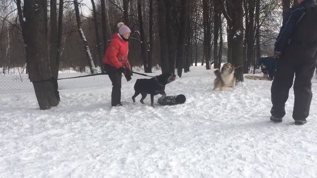 Банда 9 лет смотреть онлайн