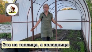 Про теплицу на Старой Даче