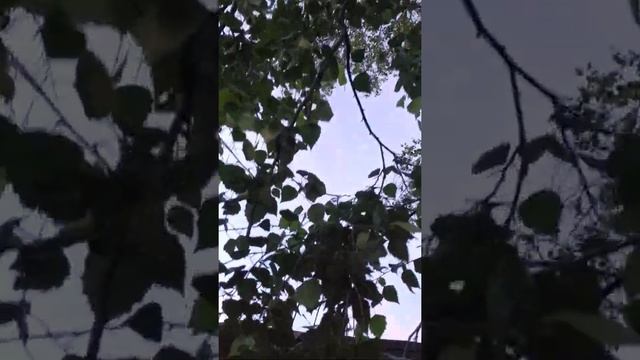 Фиолетовое Пламя смотреть онлайн