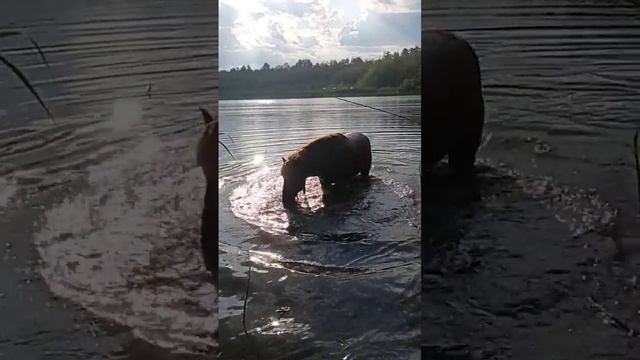 Приключения 20 мая. Вид озера. смотреть онлайн
