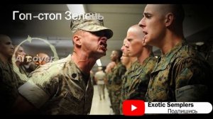 Гоп стоп зелень .Армейская песня.Эй,Ай Мюзик.