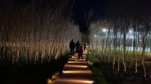 ГЕЛЕНДЖИК 2024. Тонкий мыс. Вечерняя прогулка по новому ?