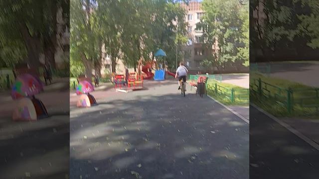 рёв матора на велосипеде