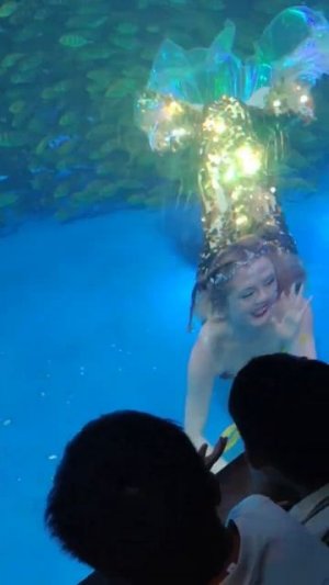 Шоу русалок в Китае #mermaid #breathholding #deep #русалка #подводныйбалет