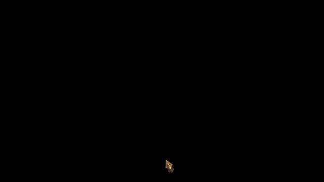 Приключения капитана Блада - Эпизод Первый