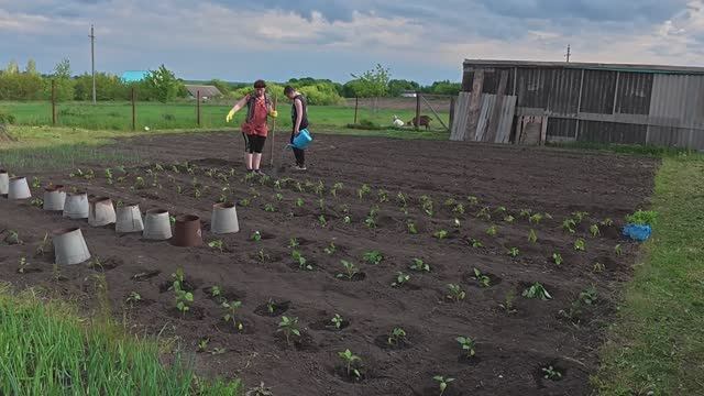 Уработались и есть не хочется. Опять окрошка у нас. Огородных дел мастера смотреть онлайн