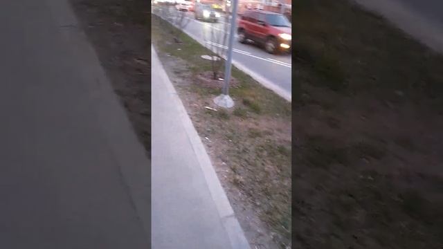 Обращ.к первому зам.руковод.ДГИ г.Москвы Спесивцевой Е смотреть онлайн